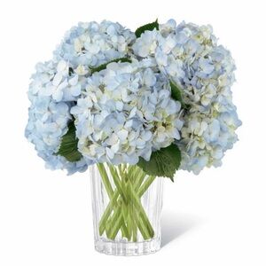 Meet your Posher, Candice